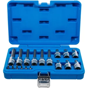JUEGO DE DADOS CON PUNTA | ENTRADA 6,3 MM (1/4") / 12,5 MM (1/2") | PERFIL EN T (PARA TORX) | 18 PIEZAS