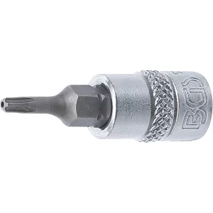 1/4"  DADO CON PUNTA  TORX (T-STAR (TORX)), TS 10X38 MM