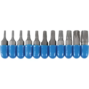 JUEGO 11 PIEZAS DE PUNTAS ESPECIALES TORX (T-STAR (TORX)) 1/4"